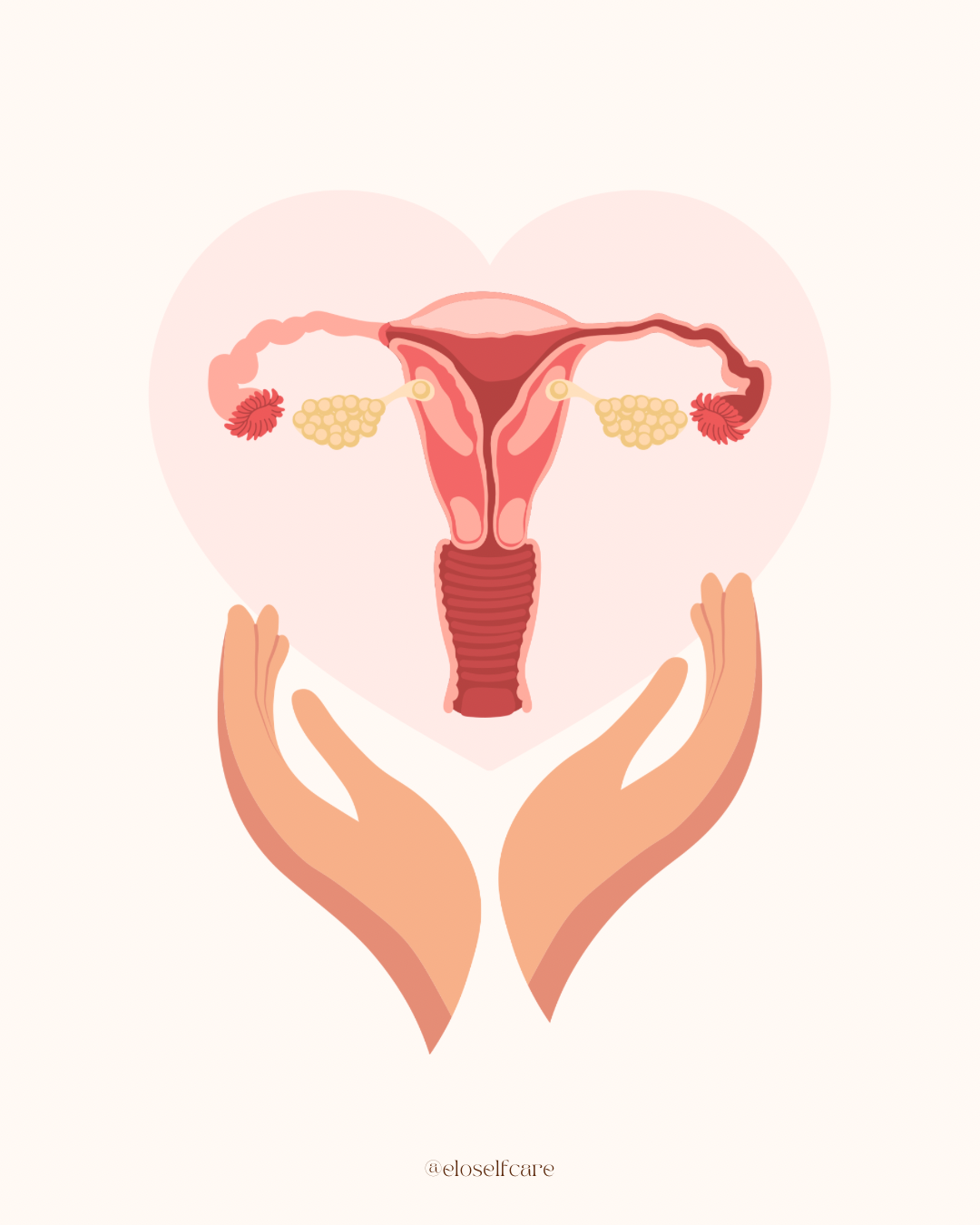 Les symptômes du cycle menstruel : mieux les connaître pour mieux les vivre